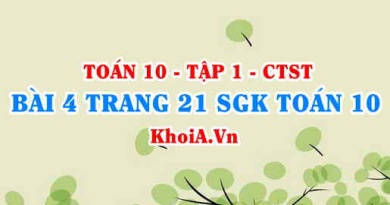 Bài 4 trang 21 SGK Toán 10 tập 1 Chân trời sáng tạo